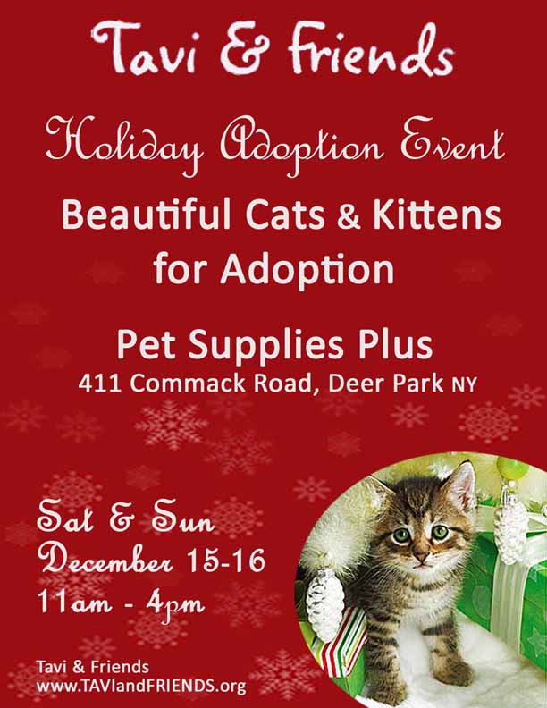 Flyers/HolidayAdoptPSPDP.jpg