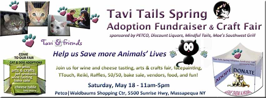 Flyers/TaviTailsBanner-May18.jpg