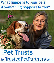 petrustsite.jpg