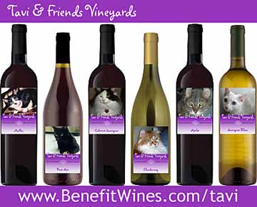 webassets/TaviWine.jpg webassets/TaviWine.jpg